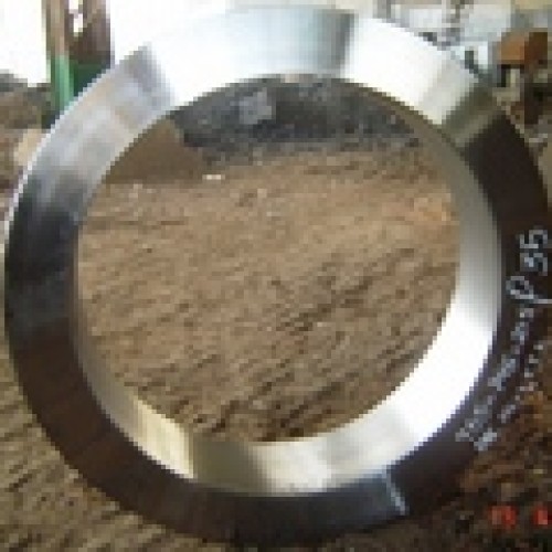 Stainless Steel Forgings